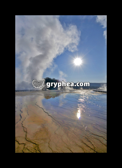 Midway geyser basin - Source hydrothermale (Yellowstone NP, USA) - gryphea.com